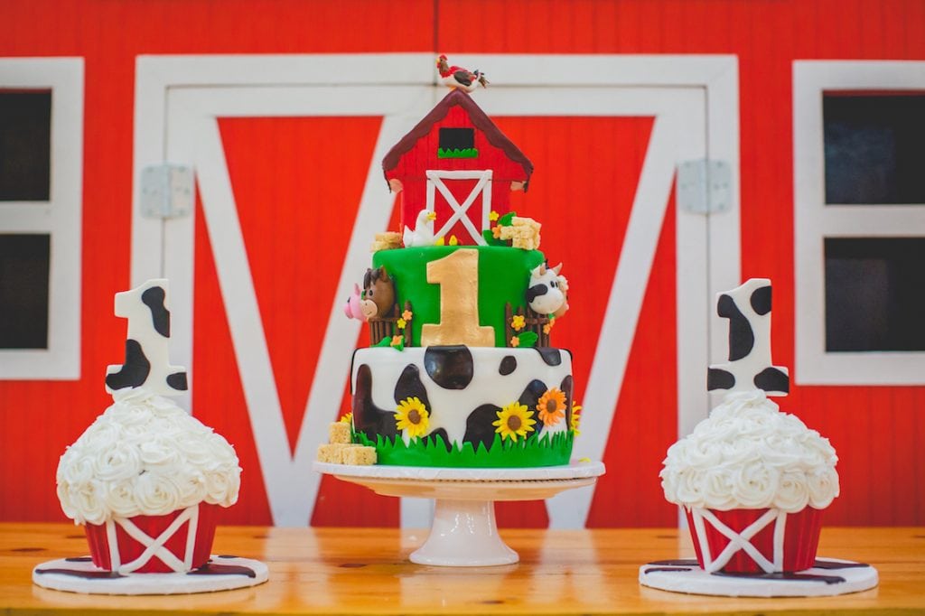 Barn Themed First Birthday Party Chicago Style Weddings